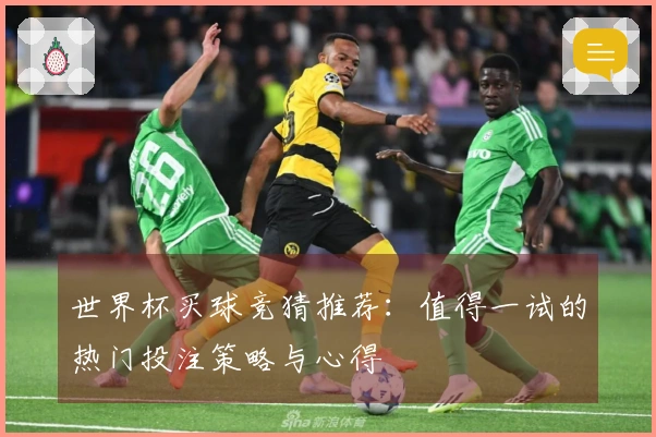 世界杯买球竞猜推荐：值得一试的热门投注策略与心得
