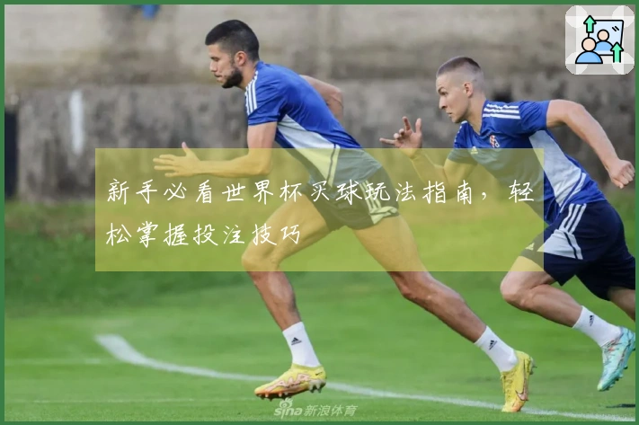 新手必看世界杯买球玩法指南，轻松掌握投注技巧