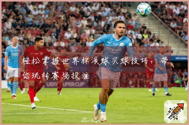 轻松掌握世界杯滚球买球技巧，带你玩转赛场投注