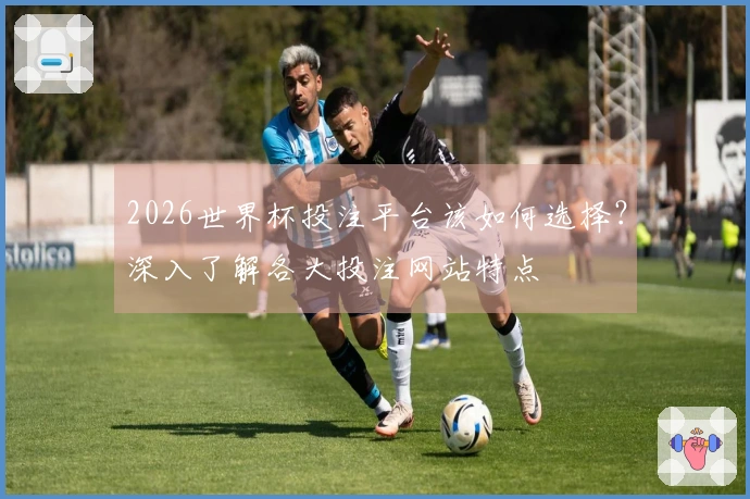 2026世界杯投注平台该如何选择？深入了解各大投注网站特点