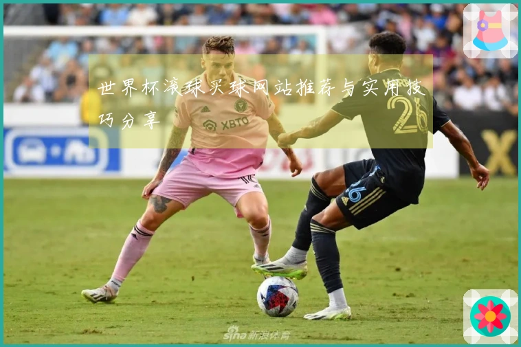 世界杯滚球买球网站推荐与实用技巧分享