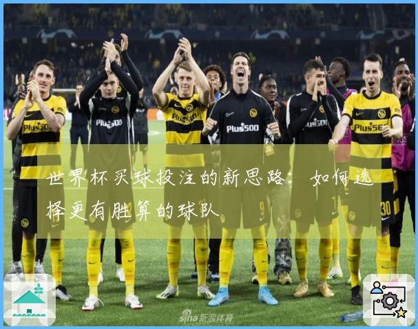 世界杯买球投注的新思路：如何选择更有胜算的球队
