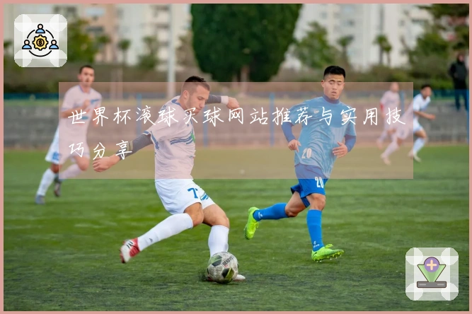 世界杯滚球买球网站推荐与实用技巧分享