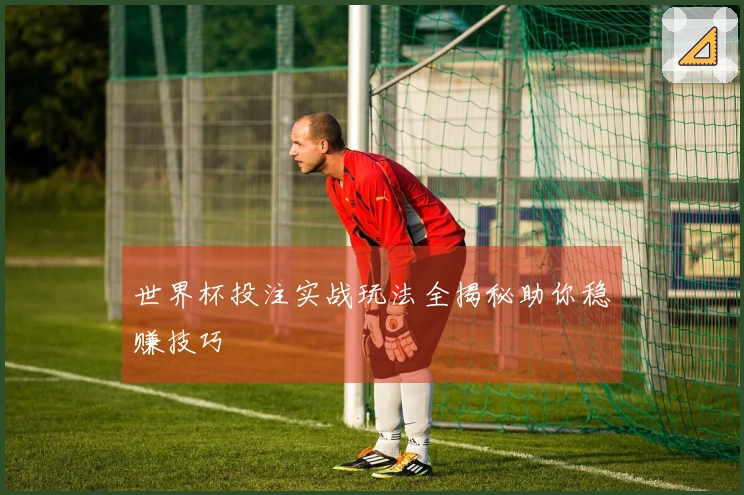 世界杯投注实战玩法全揭秘助你稳赚技巧